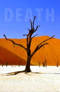 Submissions for ‘Death Lifespan Vol. 12’ have now opened – Truth Serum